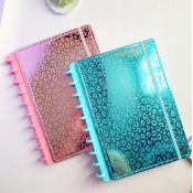 Caderno Inteligente - Colegial 9 discos (2)