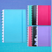 Caderno Inteligente 11 discos (3)